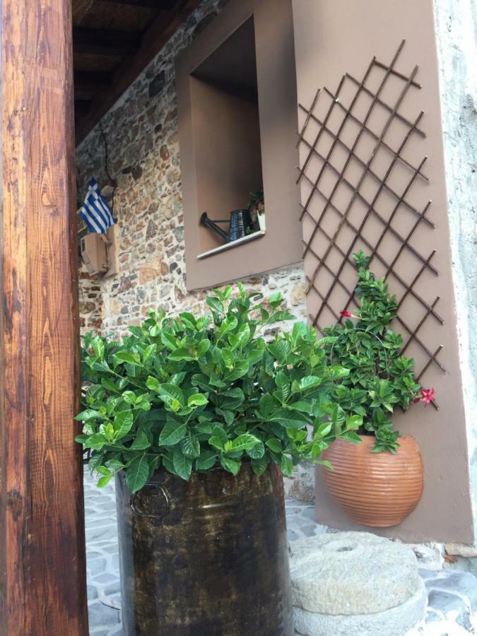 Areti'S Traditional House Apollona Esterno foto